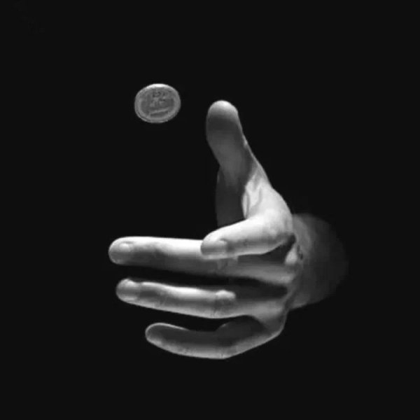 Монетка (Ксандр Рэйс)