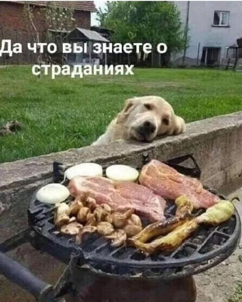 FB IMG 1778525605357