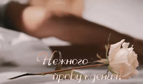 IMG 20171028 153737 0