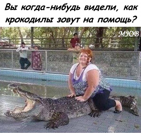 FB IMG 1775992778080