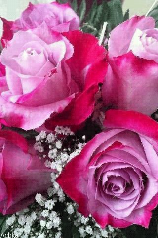 file_76416227