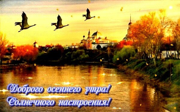 IMG 20181006 203707 405