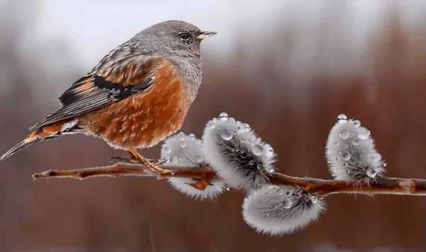 file_73002941