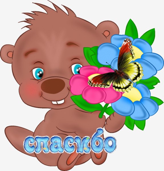 IMG 20200306 211915