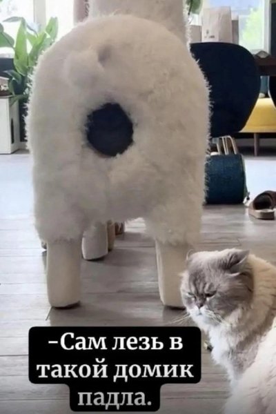 IMG 20260402 190655 543