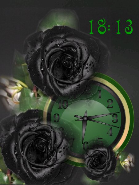 Черные розы