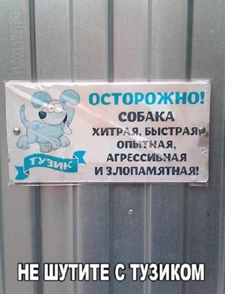 Не шутите с Тузиком!