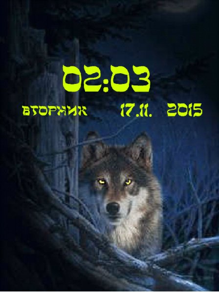 Волк