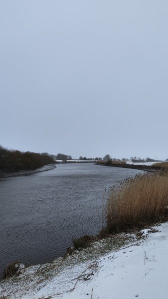 IMG 20260109 145727