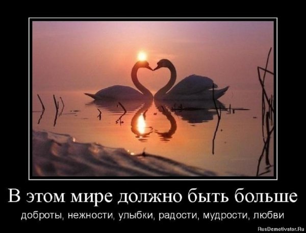 В этом мире должно быть больше доброты, нежности....
