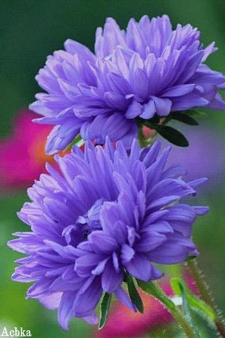 file_91461641