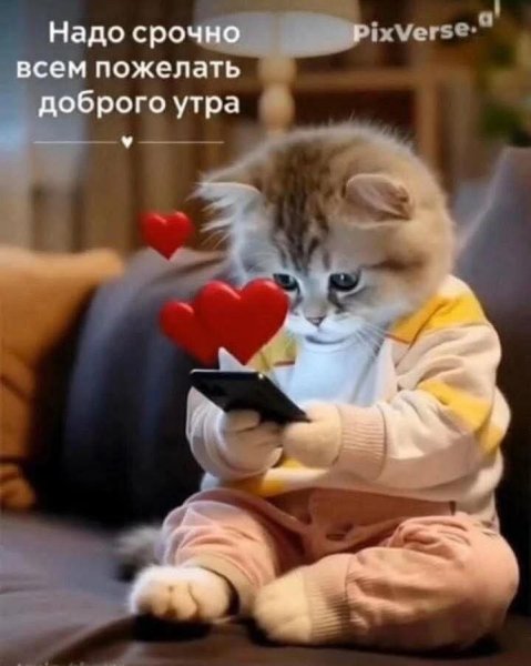 FB IMG 1771825798380