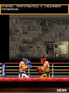 fight night round 3 320x240