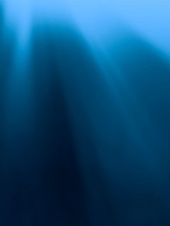 underwater. 1176