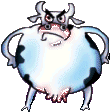 cow4 kotok