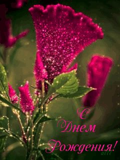 file_79642555