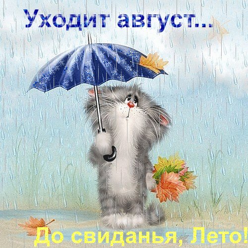 IMG 20190831 193414