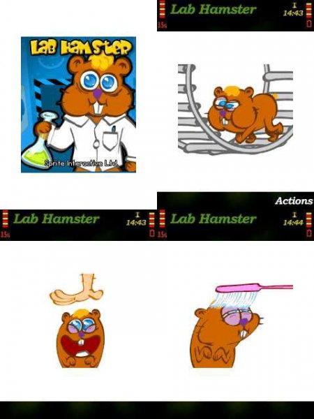Lab Hamster 240x320 N73