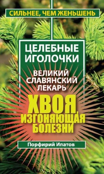 Хвоя, изгоняющая болезни