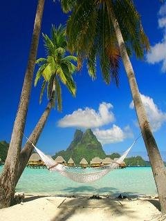 Tropicdesign
