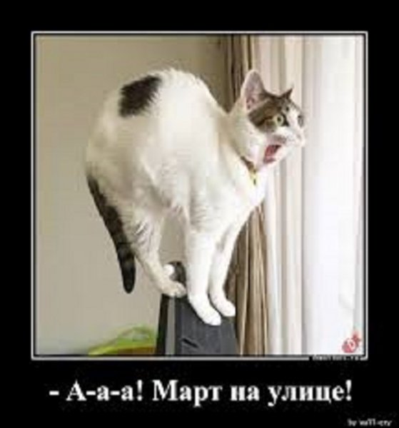 Март на улице