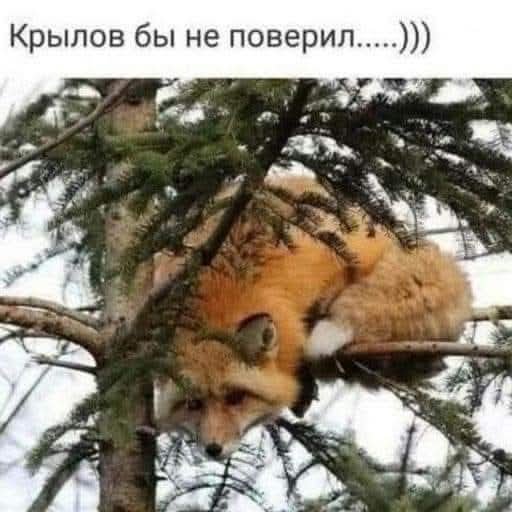 FB IMG 1778525272304