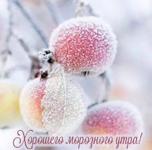 Хорошего морозного утра!
