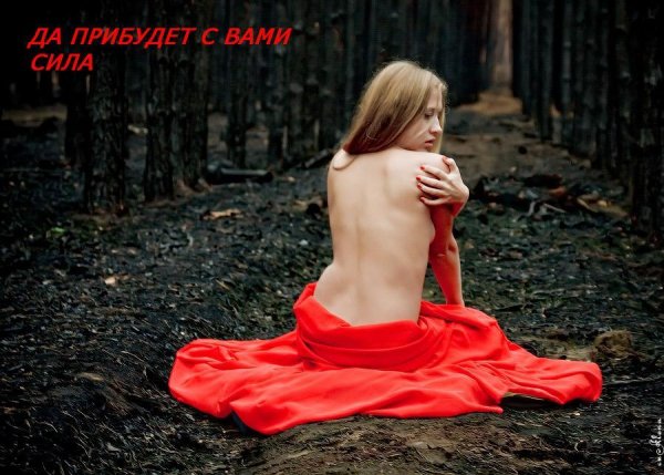 1 Да прибудет с вами сила