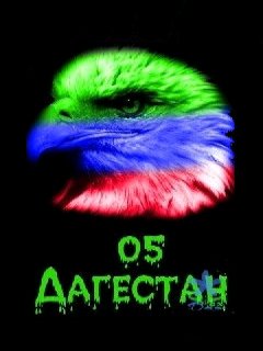 Eagle 05 dagestan
