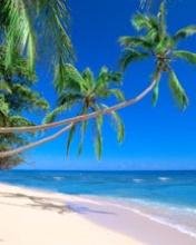 Красивый пляж