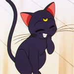 image 12304160013357890026