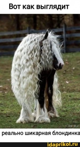 4f050862fa284eea5efa86cfdf900067730e1975a3aee2690c9a999a180