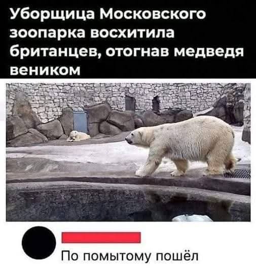 FB IMG 1777226583507