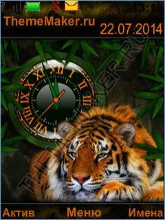 Tigr