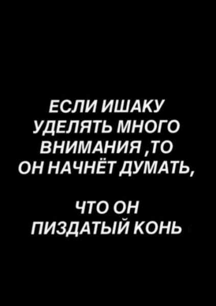 Ишак есть ишак