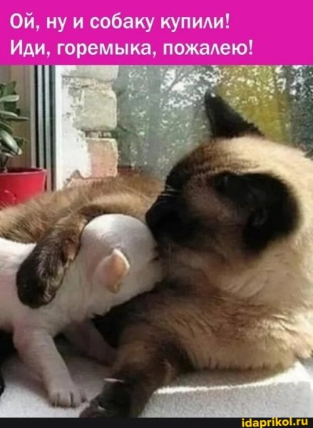 0d8d704bd0355b2cdd261fda12c0c3bf559038a2a8e3 1