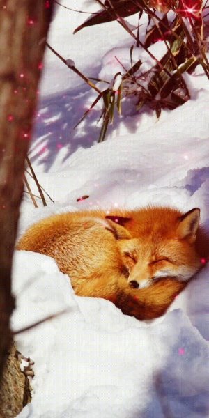 a8e005fbe4c8b040bcdec36dd