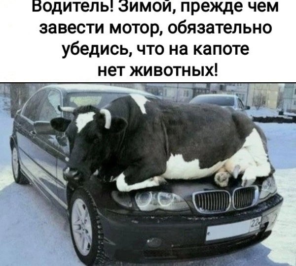 file_92732729