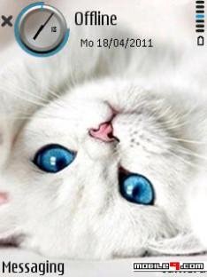kitty s3w3ayf7
