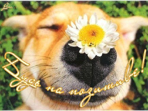 Будь на позитиве!