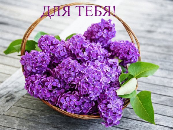 0 26fd1e 55ec4d07 orig