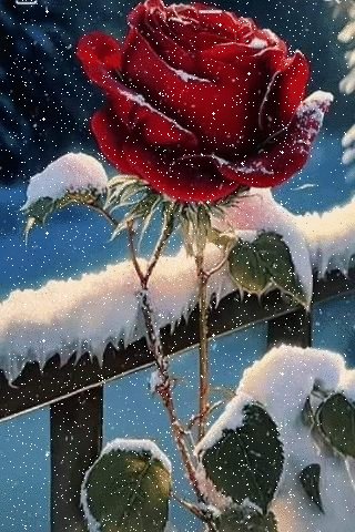file_94829572