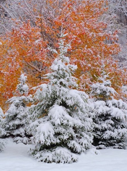 0b03ba1b3c054fad93db6847239d5d39