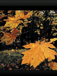 Шёпот листьев... (here again)