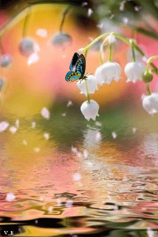 file_93321476
