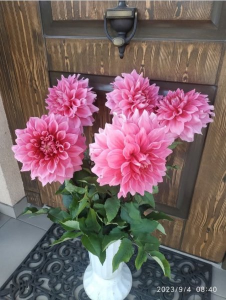 IMG 20260209 185358