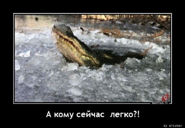 А кому сейчас легко?