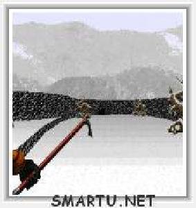 HALF-LIFE-SIN