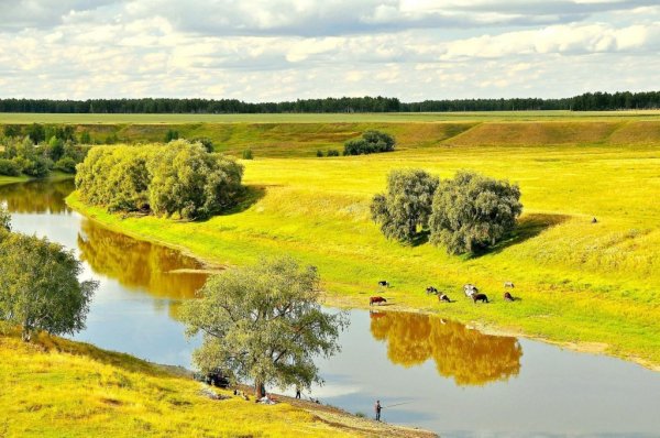 IMG 20161008 193424 0