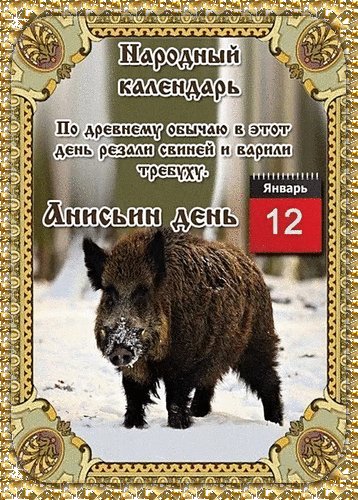 Анимированная открытка 12 января анисьин